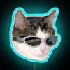Vibrant Neon Cool Cat RGB Sign for Retro Gaming Decorations