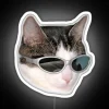 Eye-catching RGB LED neon sign for a cool cat's pad