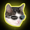 Eye-catching 8-Color RGB Neon Sign with Cool Cat Design