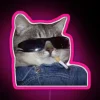 Vibrant neon sign featuring a laid-back feline in RGB.