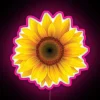 Vibrant Color Changing RGB LED Art Canvas Home Decor Lighting