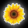 Add vibrant energy to any space with this unique sign.