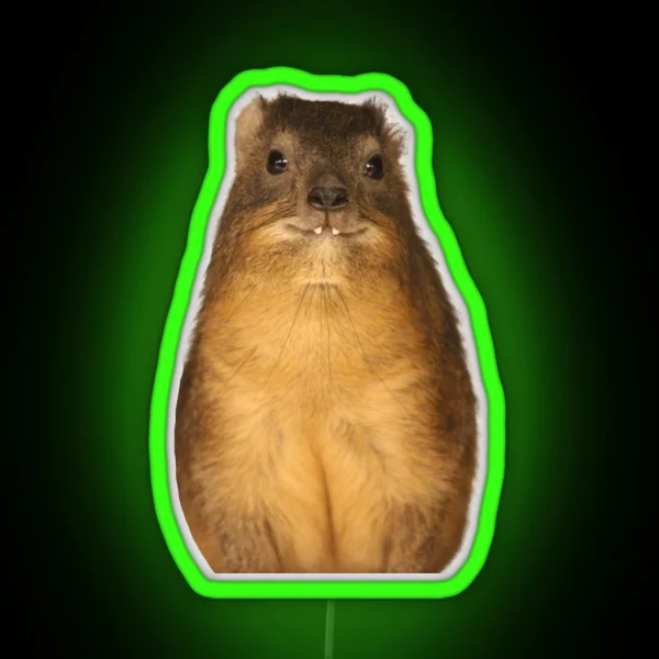 Copy Of Rock Hyrax Photo Dassie Cute Vampire Potato RGB Neon Sign