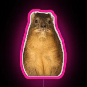 Copy Of Rock Hyrax Photo Dassie Cute Vampire Potato RGB Neon Sign