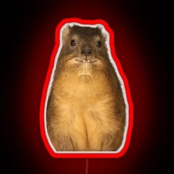 Copy Of Rock Hyrax Photo Dassie Cute Vampire Potato RGB Neon Sign