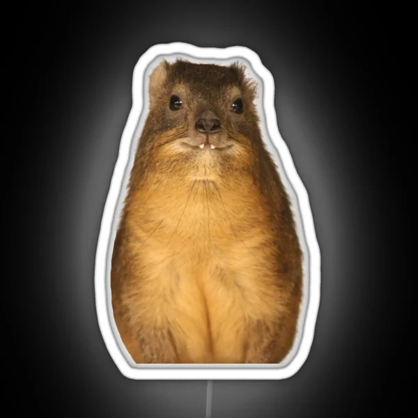 Copy Of Rock Hyrax Photo Dassie Cute Vampire Potato RGB Neon Sign