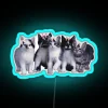 Sassy felines illuminate your space with vibrant, modern RGB glow.