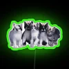 Coquettish Feline Friends Glow in Vibrant RGB Neon Wall Light Art
