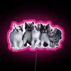 Vibrant Coquette Cats Illuminated Neon Sign with RGB Color Changing LEDs