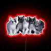 Whimsical Neon Sign Featuring Playful Coquette Cats in Vibrant Colors