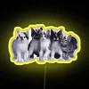 Whimsical Coquette Cats Accent Wall Decoration with Color-Changing Neon Lighting