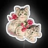 Whimsical Cat Lady Alert: Sparkling Coquette Vintage Cat Neon Sign