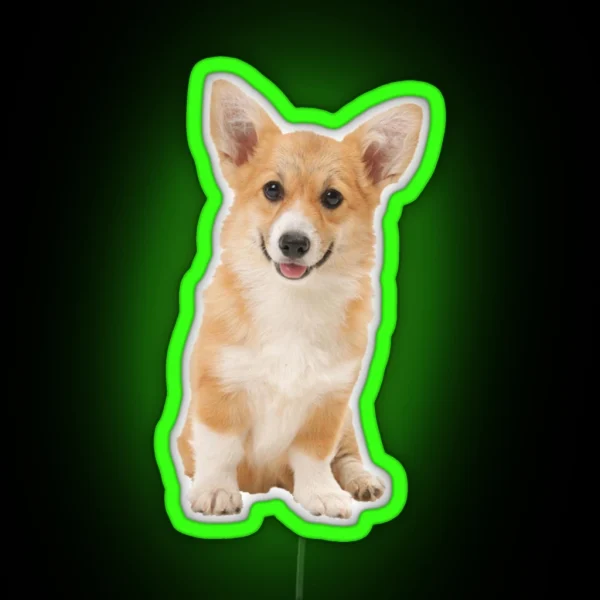 Corgi RGB Neon Sign