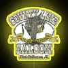 Vibrant county line saloon rgb neon bar sign decoration ideas