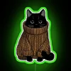 Cozy autumn sweater clad cat in vibrant RGB neon lighting