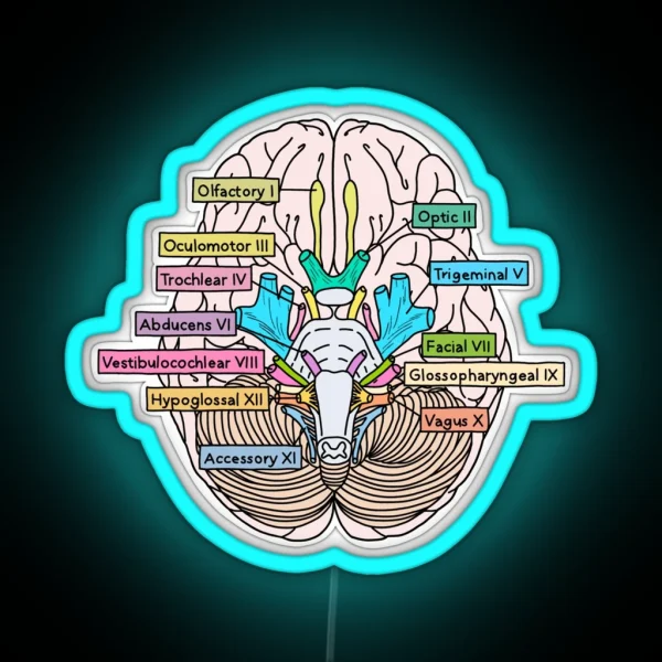 Cranial Nerves RGB Neon Sign