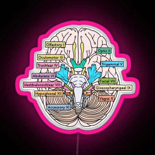Cranial Nerves RGB Neon Sign