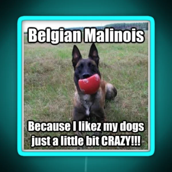Crazy Malinois Led RGB Neon Sign