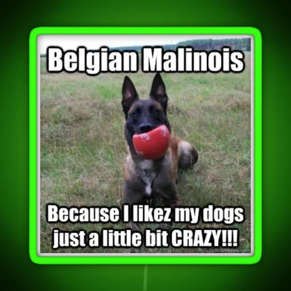 Crazy Malinois Led RGB Neon Sign