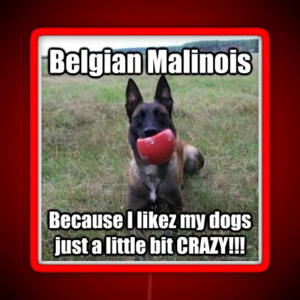 Crazy Malinois Led RGB Neon Sign