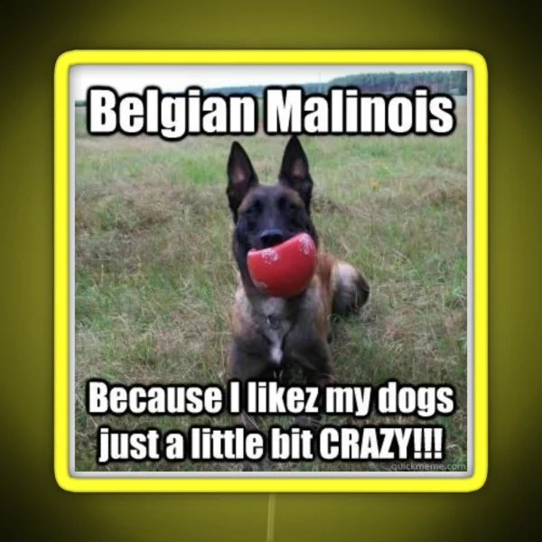 Crazy Malinois Led RGB Neon Sign