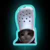 Vibrant Crying Cat Crocodile Memes Neon Wall Decor LED Sign