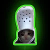 Whimsical crying cat humor neon sign brings internet meme nostalgia indoors.