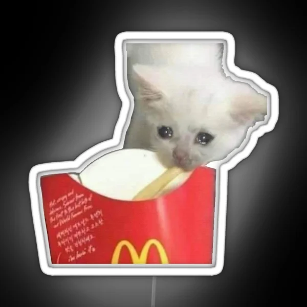 CRYING CAT Eating French Fry Crying Cat Meme RGB Neon Sign