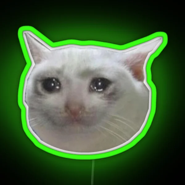 Crying Cat Jpg RGB Neon Sign