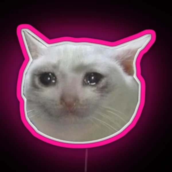 Crying Cat Jpg RGB Neon Sign