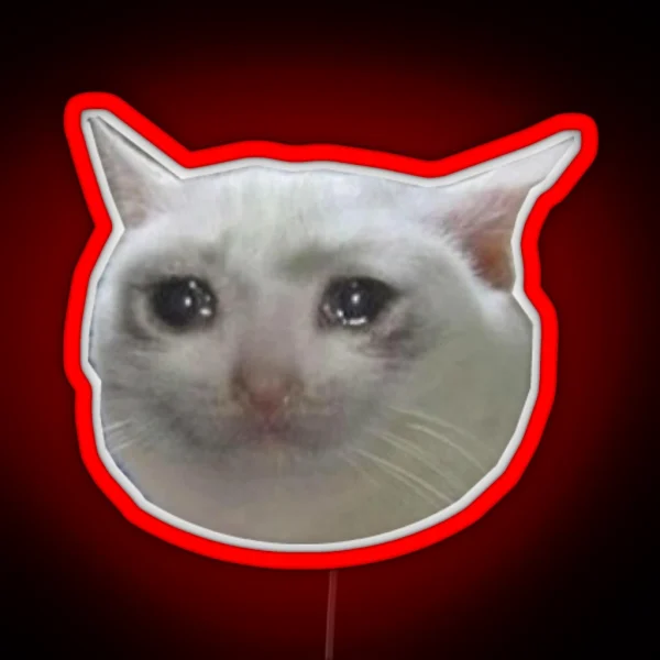 Crying Cat Jpg RGB Neon Sign