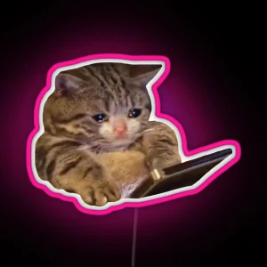 Crying Cat Meme 3 RGB Neon Sign