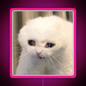 Crying Cat Meme RGB Neon Sign