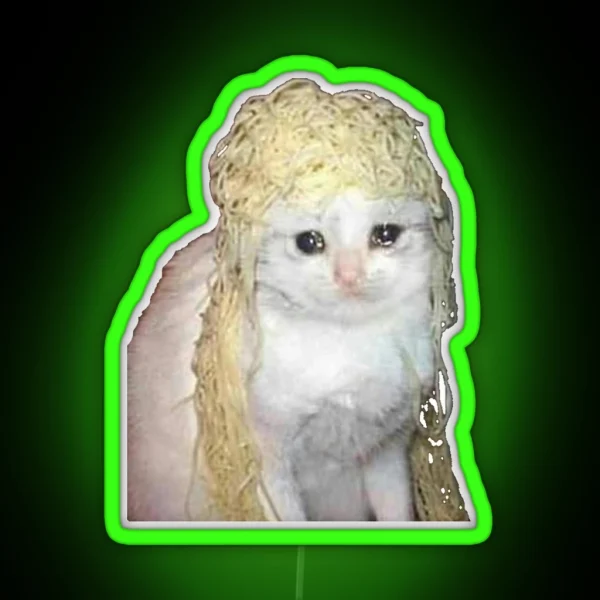 Crying Cat Meme With Spaghetti Crying Twitter Meme With RGB Neon Sign