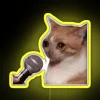 Whimsical crying cat meme-inspired color-changing LED display with humorous microphone accents.