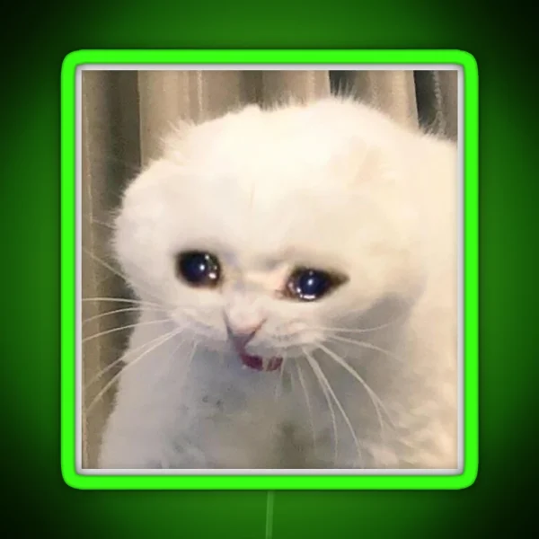 Crying Cat RGB Neon Sign