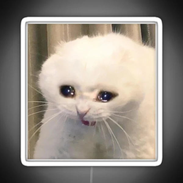 Crying Cat RGB Neon Sign