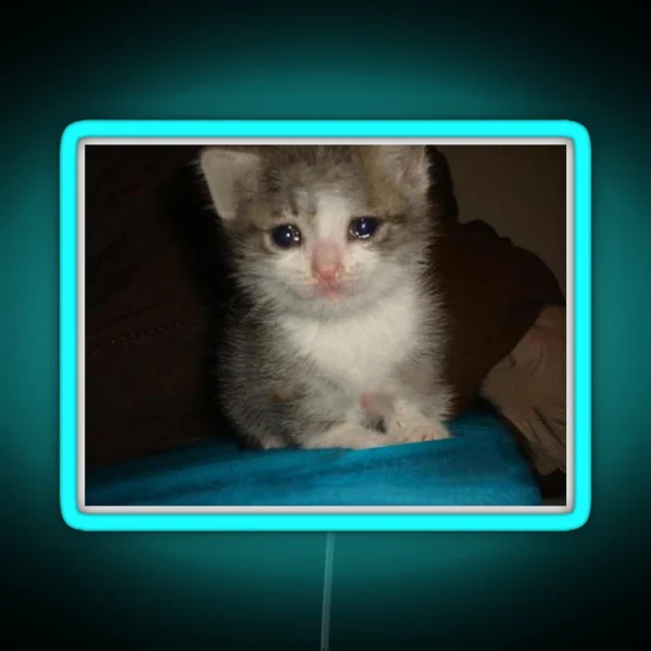 Crying Cat RGB Neon Sign