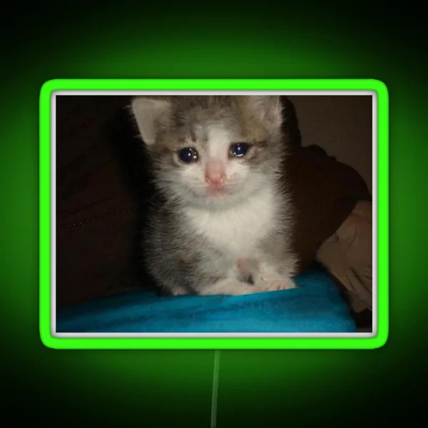 Crying Cat RGB Neon Sign