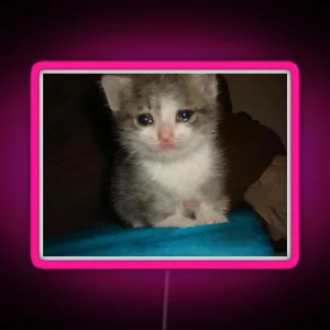 Crying Cat RGB Neon Sign
