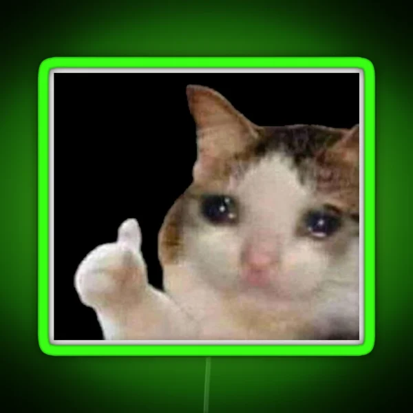 Crying Cat Thumbs Up Meme RGB Neon Sign