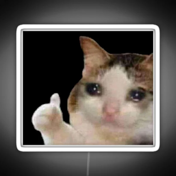 Crying Cat Thumbs Up Meme RGB Neon Sign