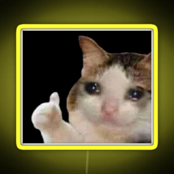 Crying Cat Thumbs Up Meme RGB Neon Sign