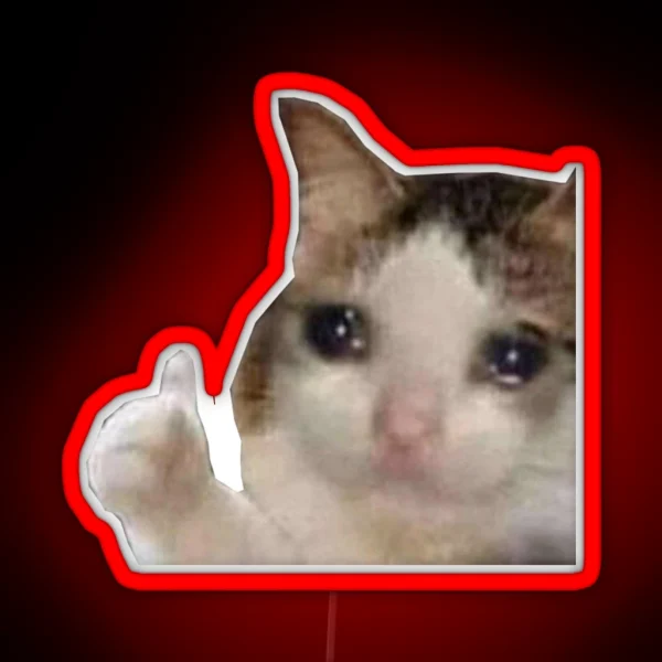 Crying Cat Thumbs Up RGB Neon Sign