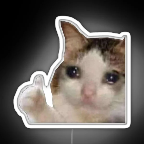 Crying Cat Thumbs Up RGB Neon Sign