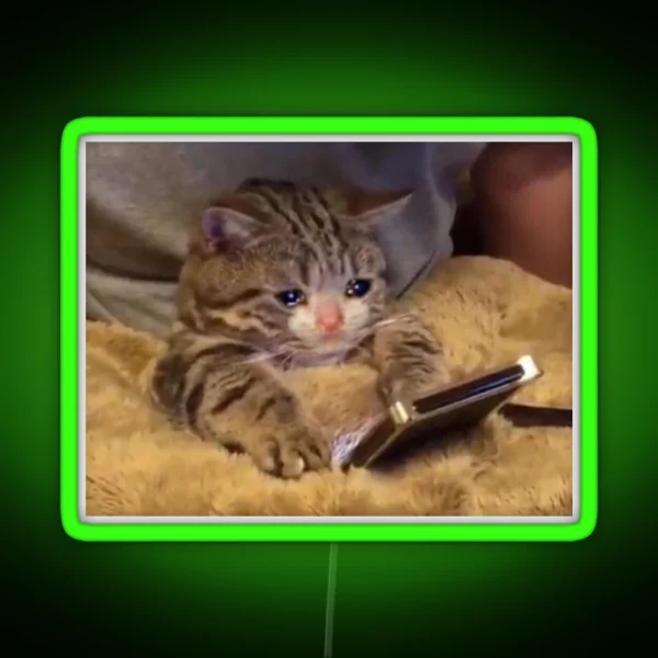 Crying Cat With Phone RGB Neon Sign