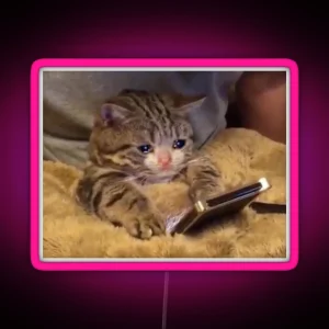 Crying Cat With Phone RGB Neon Sign