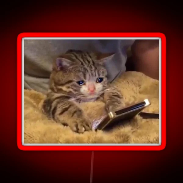 Crying Cat With Phone RGB Neon Sign