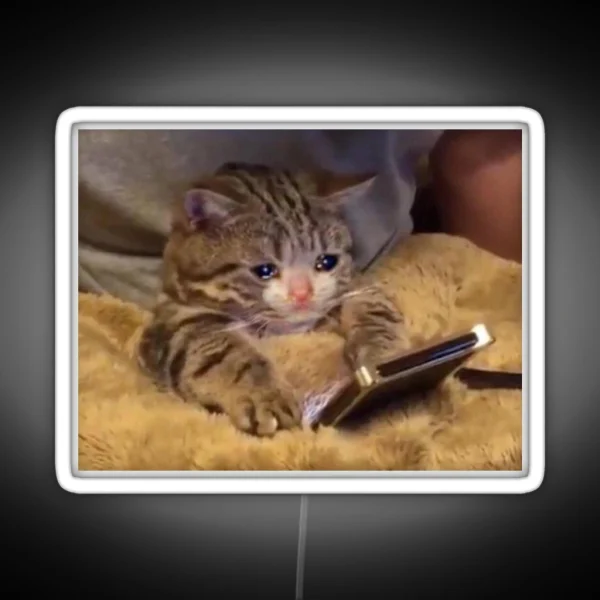 Crying Cat With Phone RGB Neon Sign