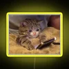 Vibrant RGB Neon Sign Crying Cat Holding Phone Decoration